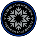 home team logo