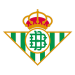 home team logo