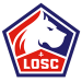 home team logo