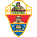 home team logo