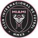 home team logo